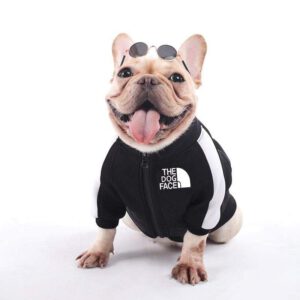 meesteres Lima Benadrukken Hondenkleding Franse bulldog: wel of geen kleding voor jouw hond? - Franse  Bulldogz
