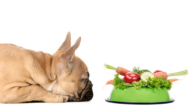 Deze groenten mogen Franse bulldogs eten