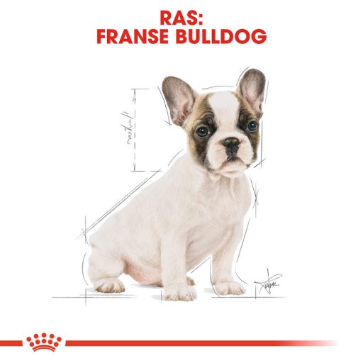 Royal canin franse bulldog puppy 5