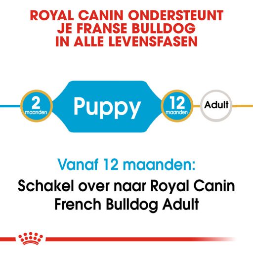 Royal canin franse bulldog puppy 6